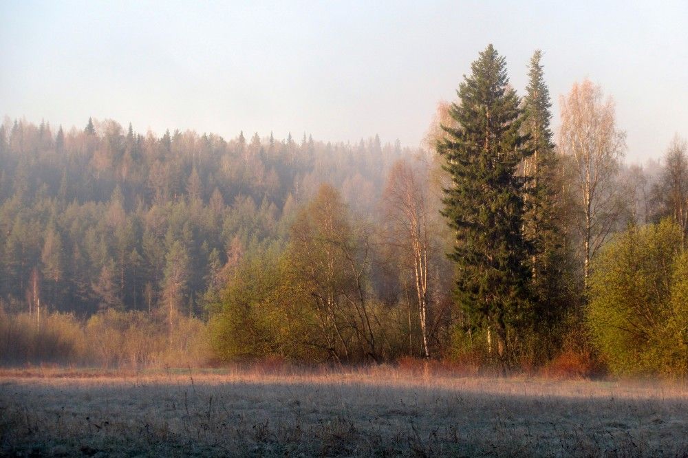 Photograph by Ольга Березовская