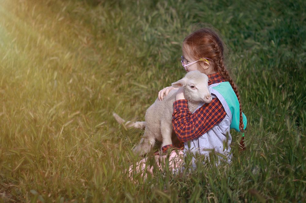 Photograph by Василий Шахмаев