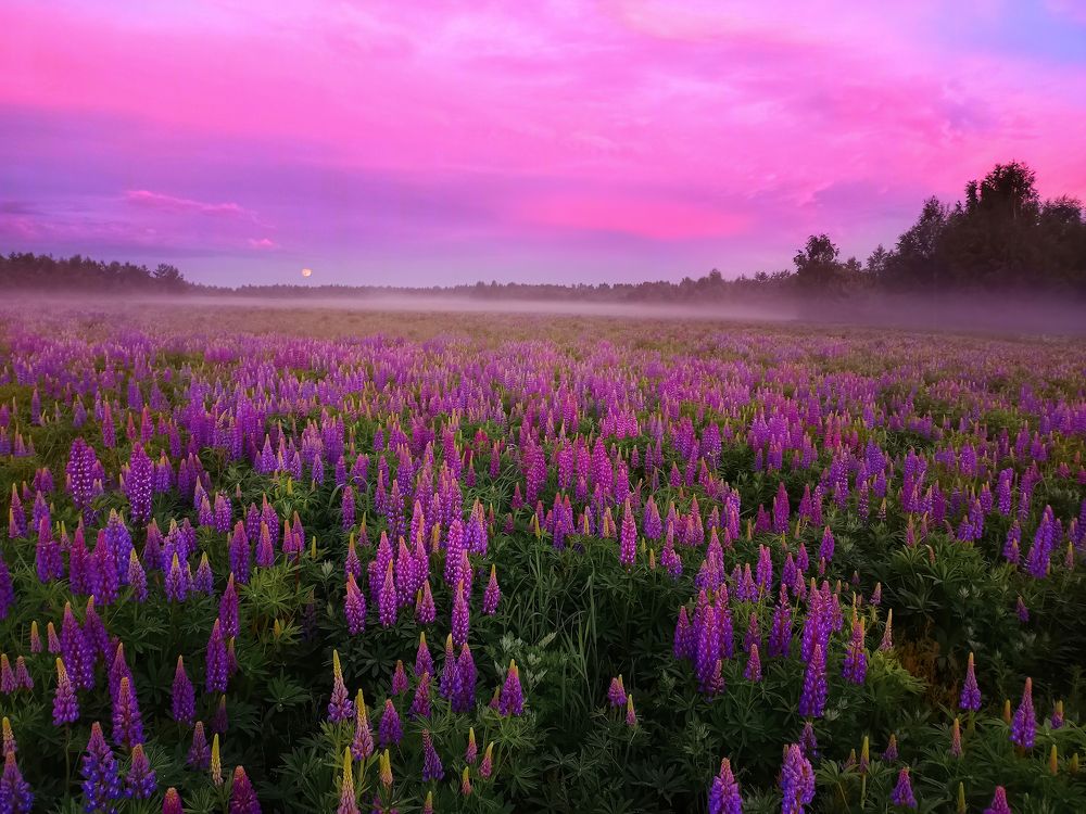 Photograph by Марина Мурашова