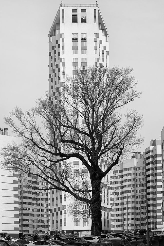 Photograph by Владимир