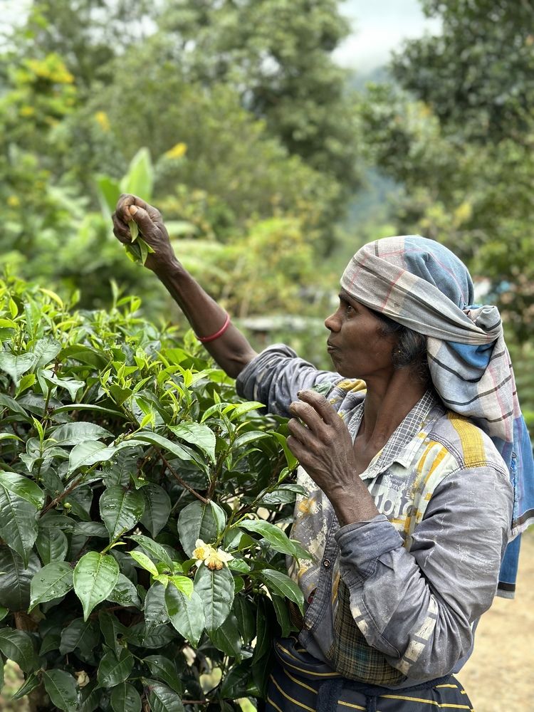 Photograph by Polina Manderson