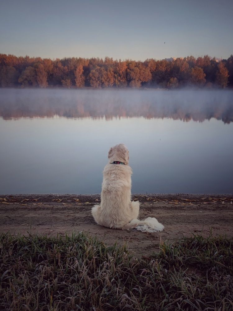 Photograph by Ольга Вороная