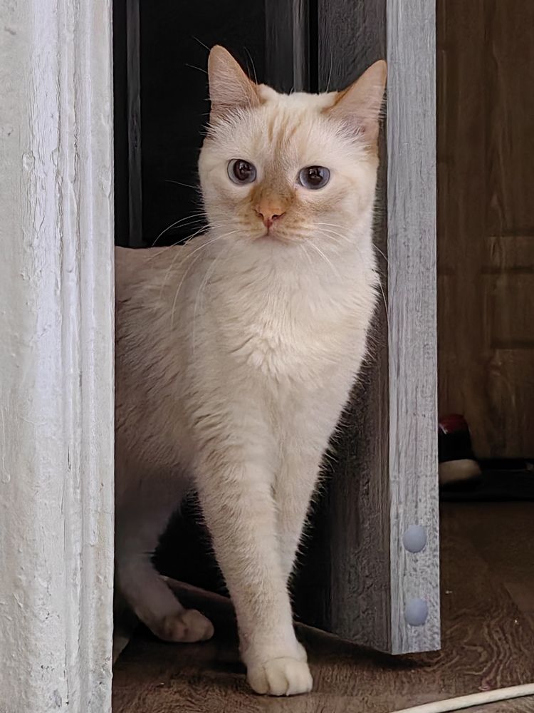 Photograph by Дмитрий Кочетков