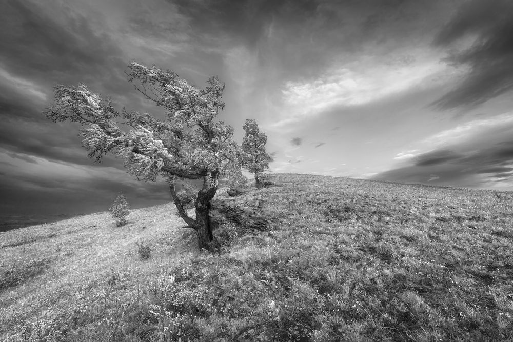 Photograph by Анатолич