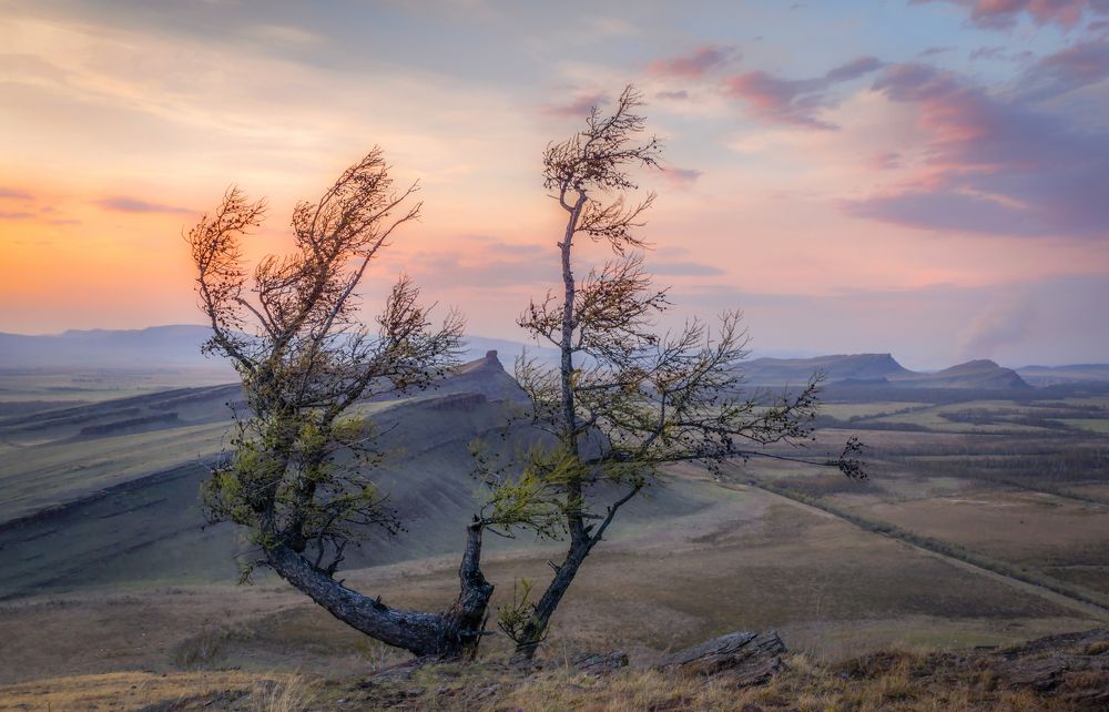 Photograph by Анатолич