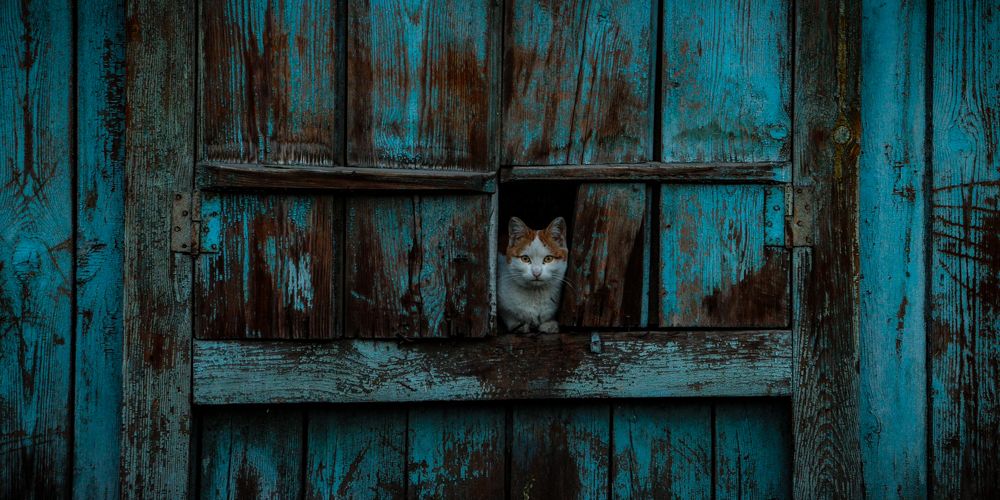 Photograph by Полина Макляк