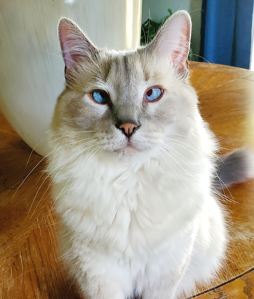 Фотография автора Jeff Cooley