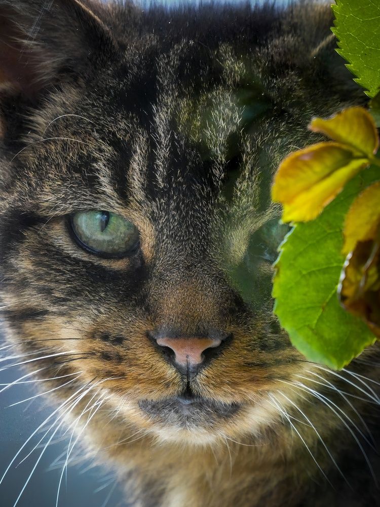 Фотография автора Michael Gault