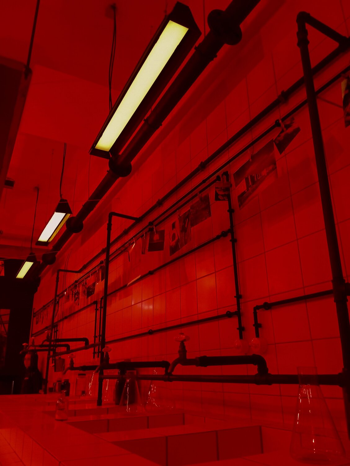 Photo #10781344