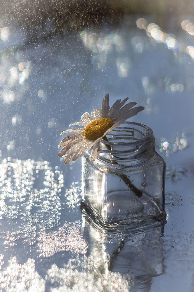 Photograph by Ольга Сергеенко