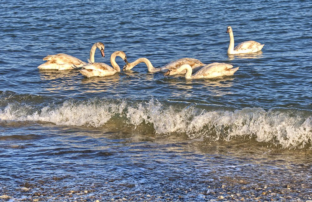Photograph by Евгений Самулев