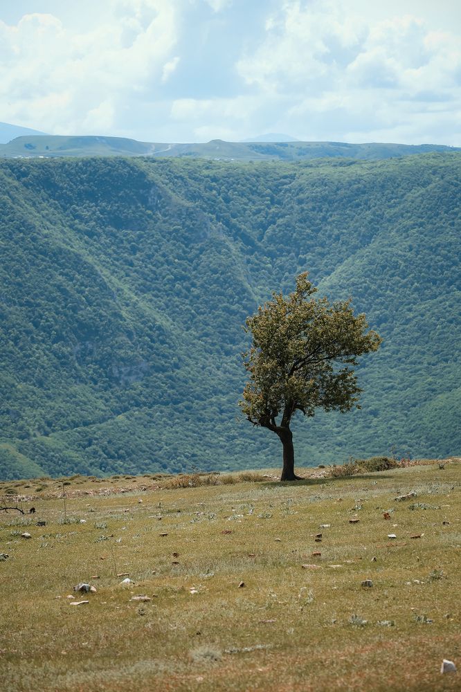 Photograph by Leanid Kulpo