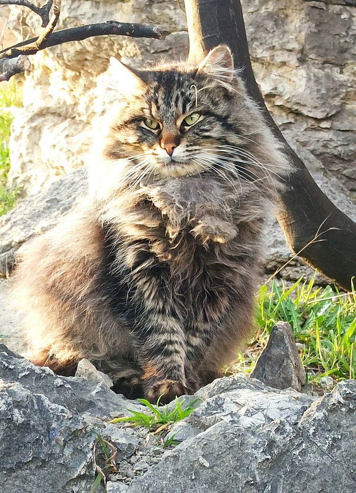 Photograph by Евгений Самулев