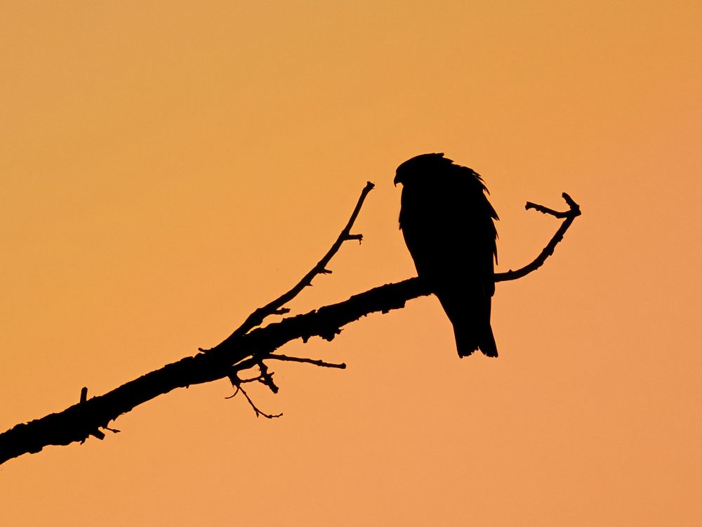 Фотография автора Кожанов Нуржан