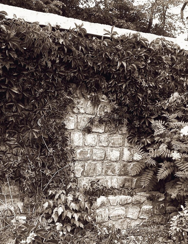 Photograph by Евгения Трубкина