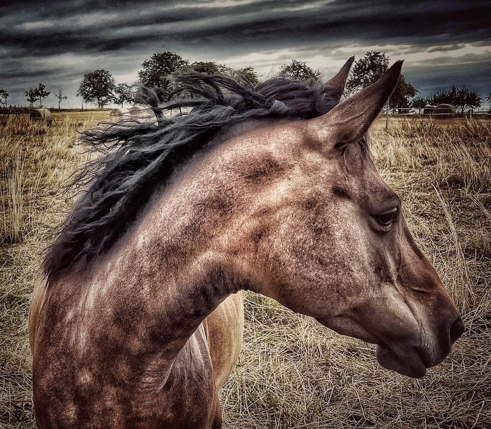 Photograph by Swetlana Lebedev