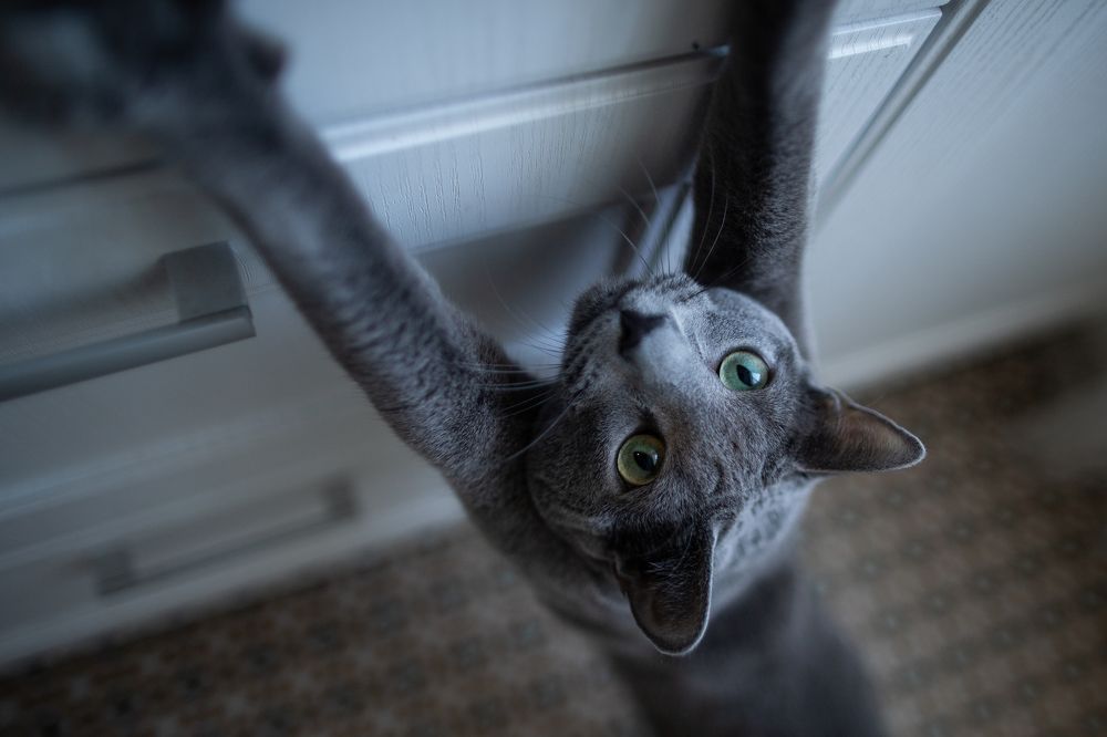 Photograph by Елизавета Погадаева