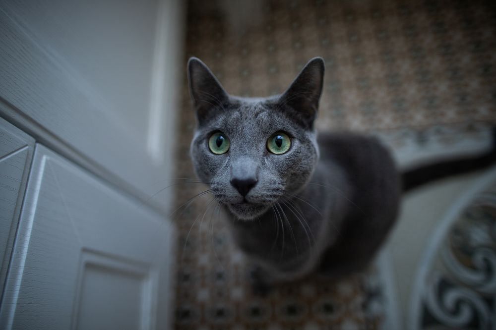 Photograph by Елизавета Погадаева