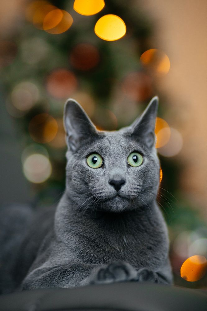 Photograph by Елизавета Погадаева