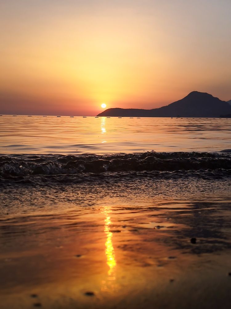 Фотография автора JELENA VASIC