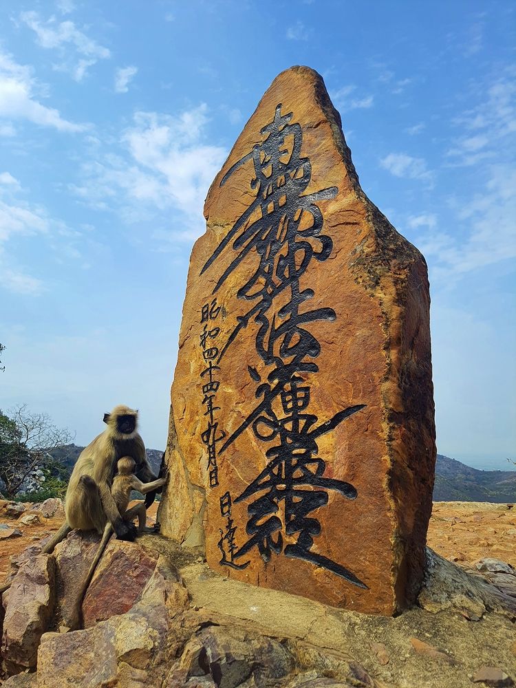 Photograph by Vivek Kumar