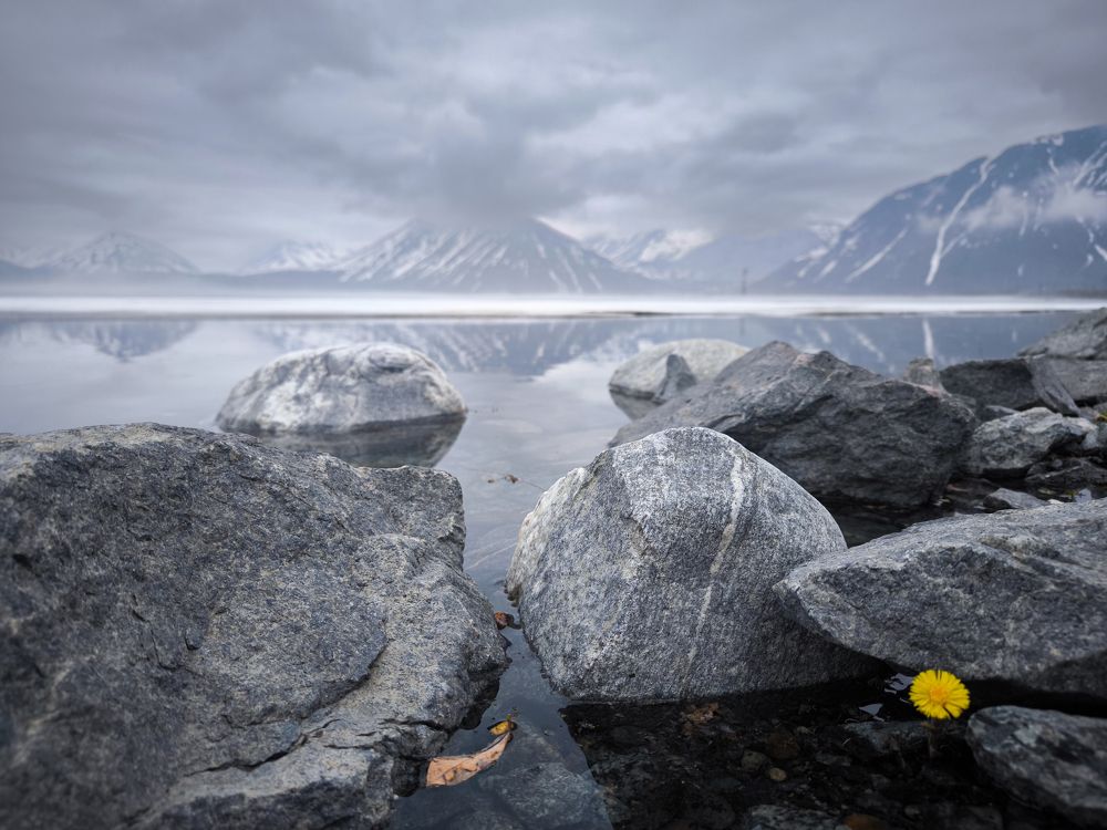 Photograph by Шейко Анна