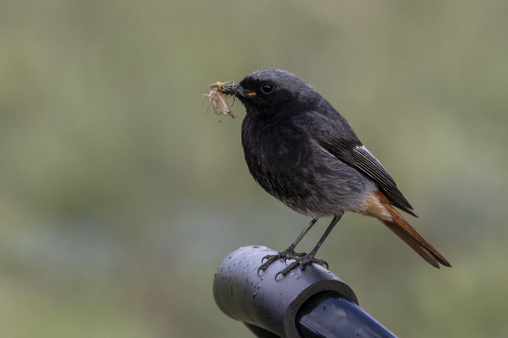 Фотография автора Щепанов Дмитрий