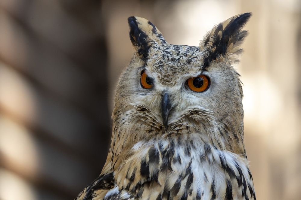 Photograph by Щепанов Дмитрий