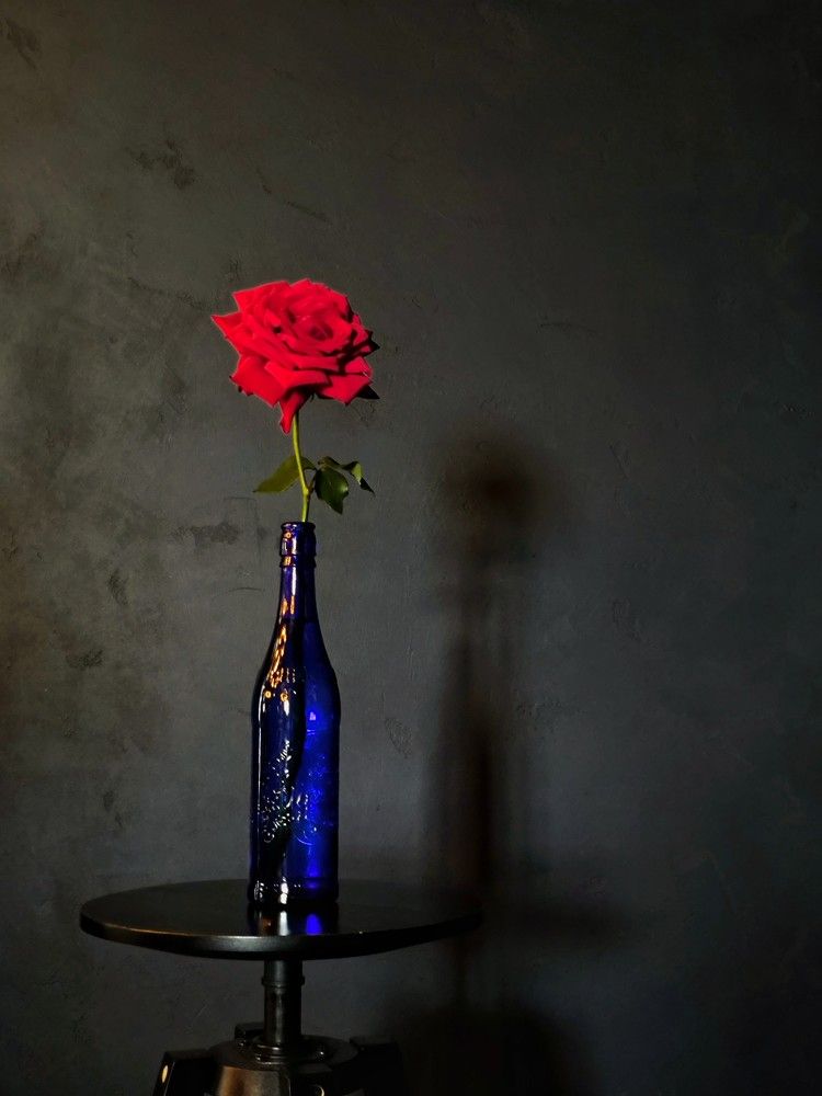 Photograph by Татьяна