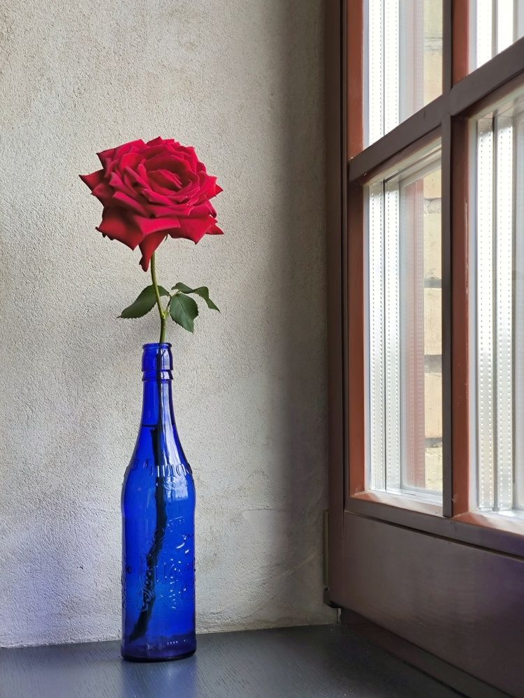 Photograph by Татьяна