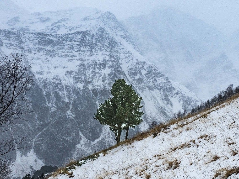 Photograph by Борис