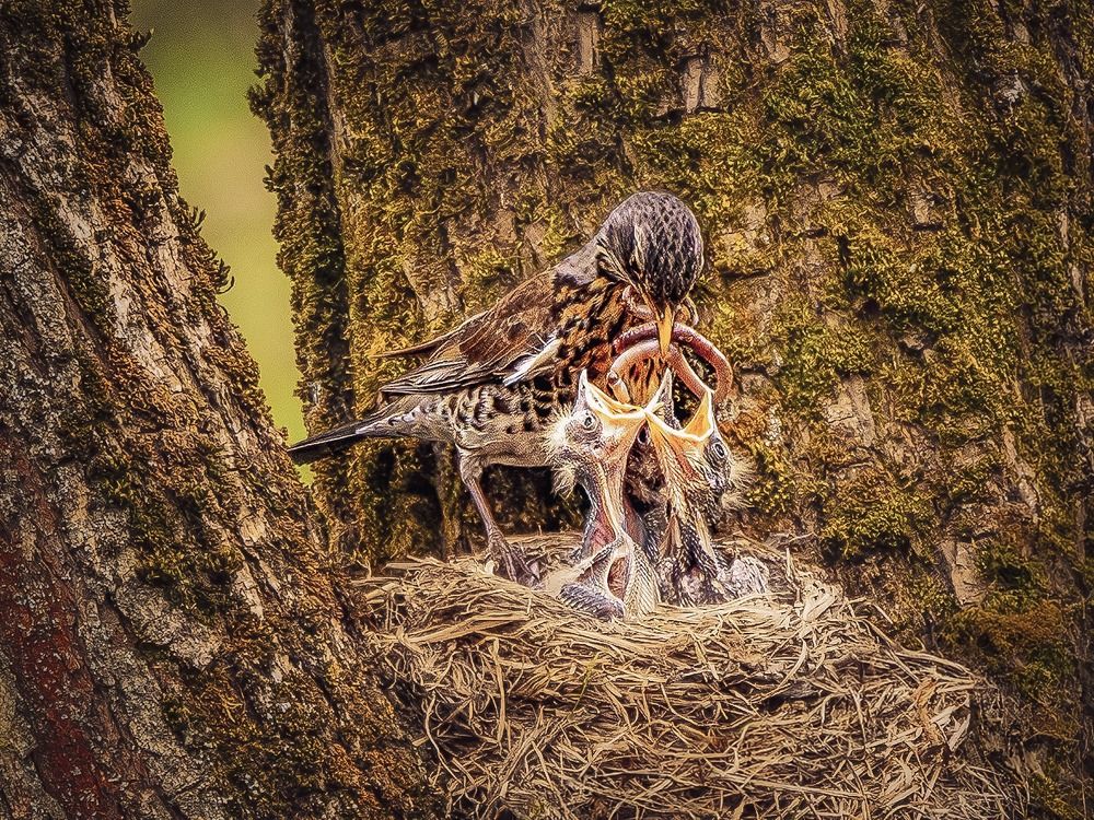 Photograph by Юлия Калугина