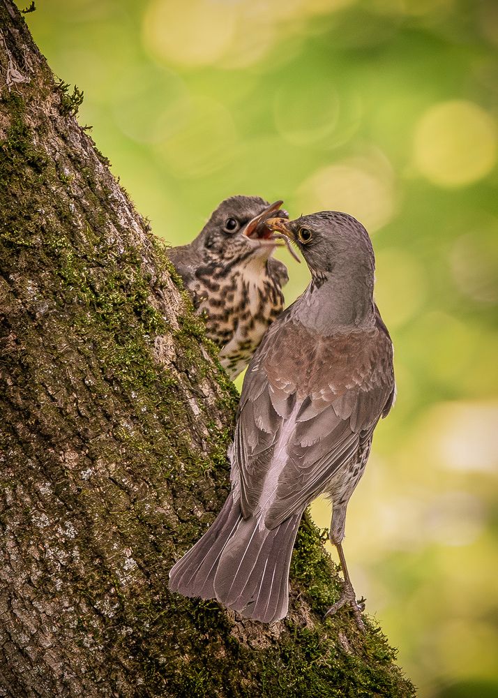 Photograph by Юлия Калугина