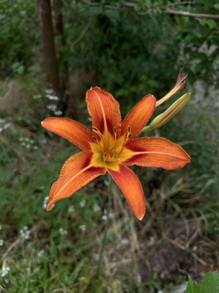 Фотография автора Alyanur Yuldasheva