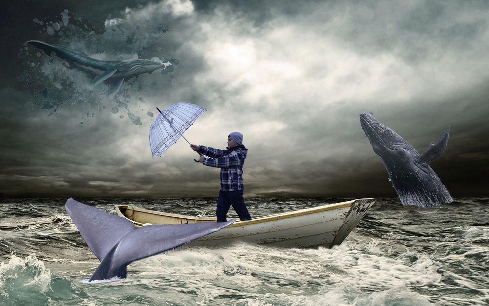 Photograph by Анна Ткаченко