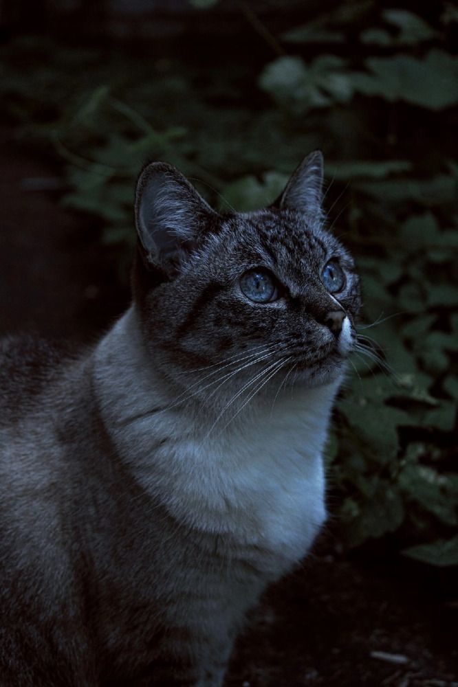 Photograph by Кристина Полякова