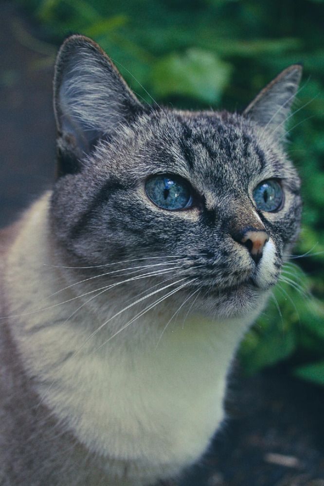 Photograph by Кристина Полякова