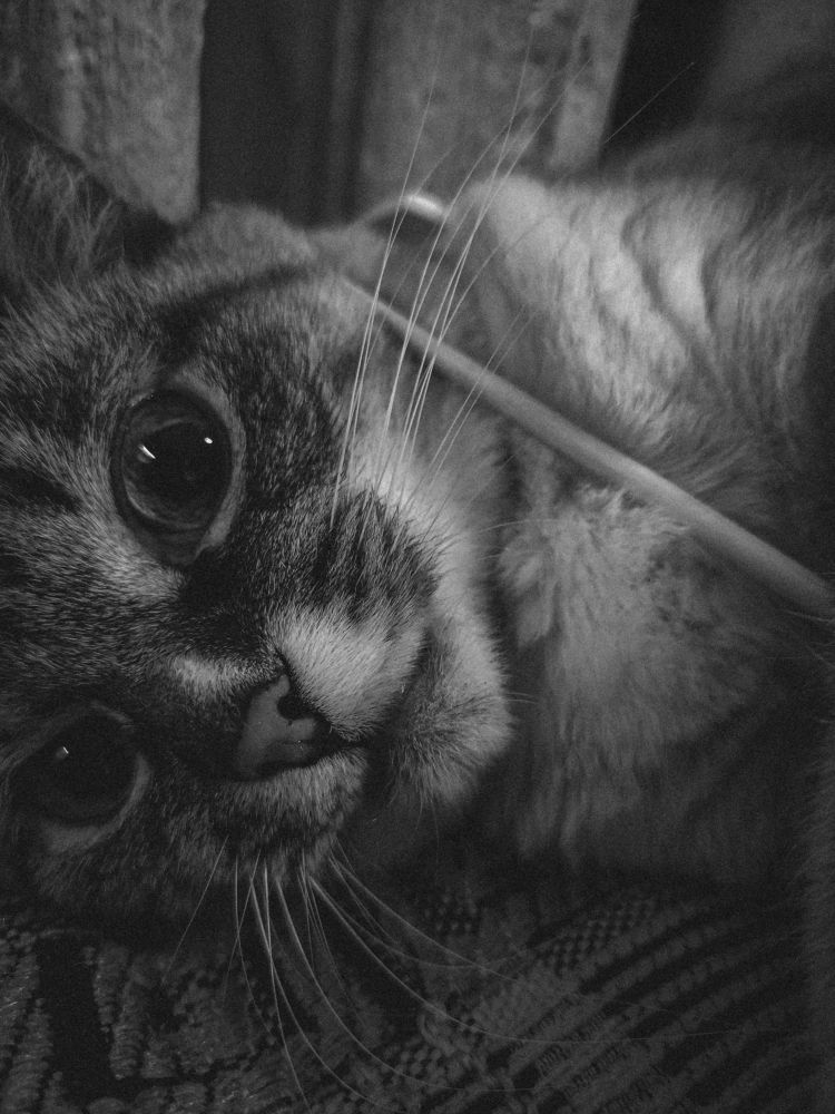 Photograph by Кристина Полякова