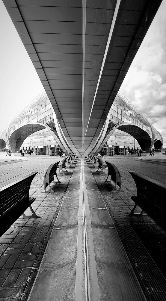 Photograph by Светлана Салмина