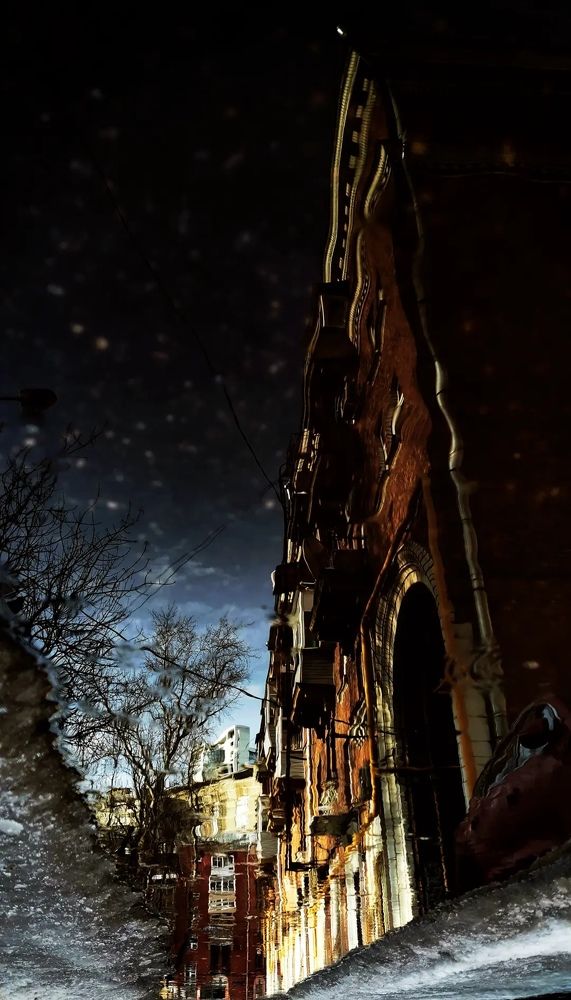 Photograph by Светлана Салмина