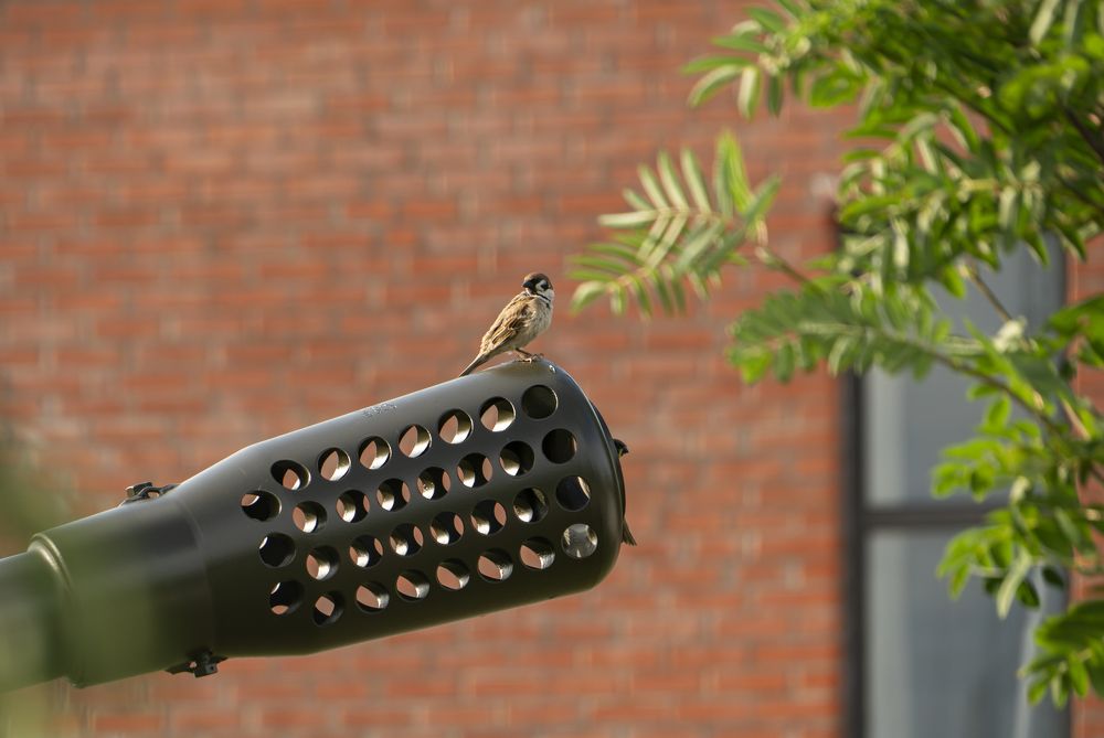 Photograph by Evgeny Ilyin