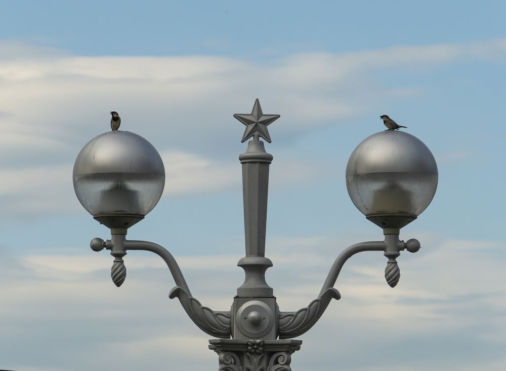 Photograph by Evgeny Ilyin