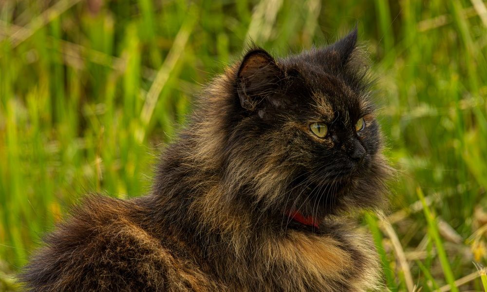 Photograph by Сергей