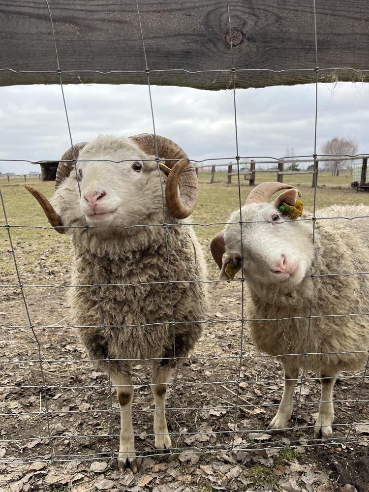 Photograph by Олеся Кузьмичева