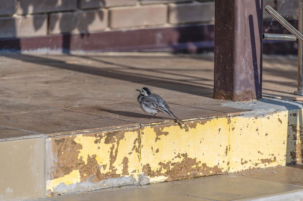 Photograph by Валерий Клейменов