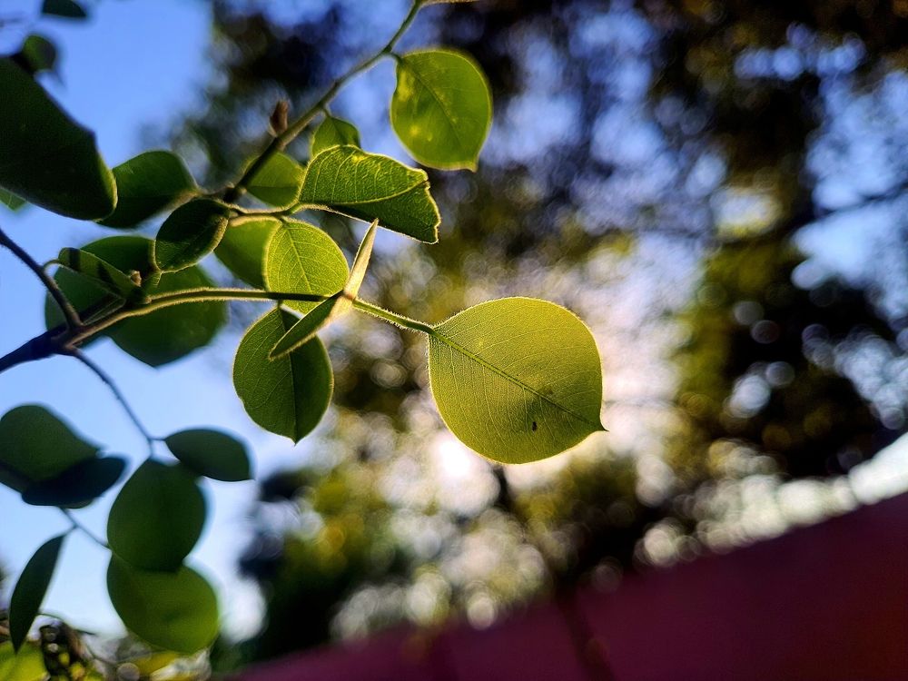 Photograph by Vivek Kumar