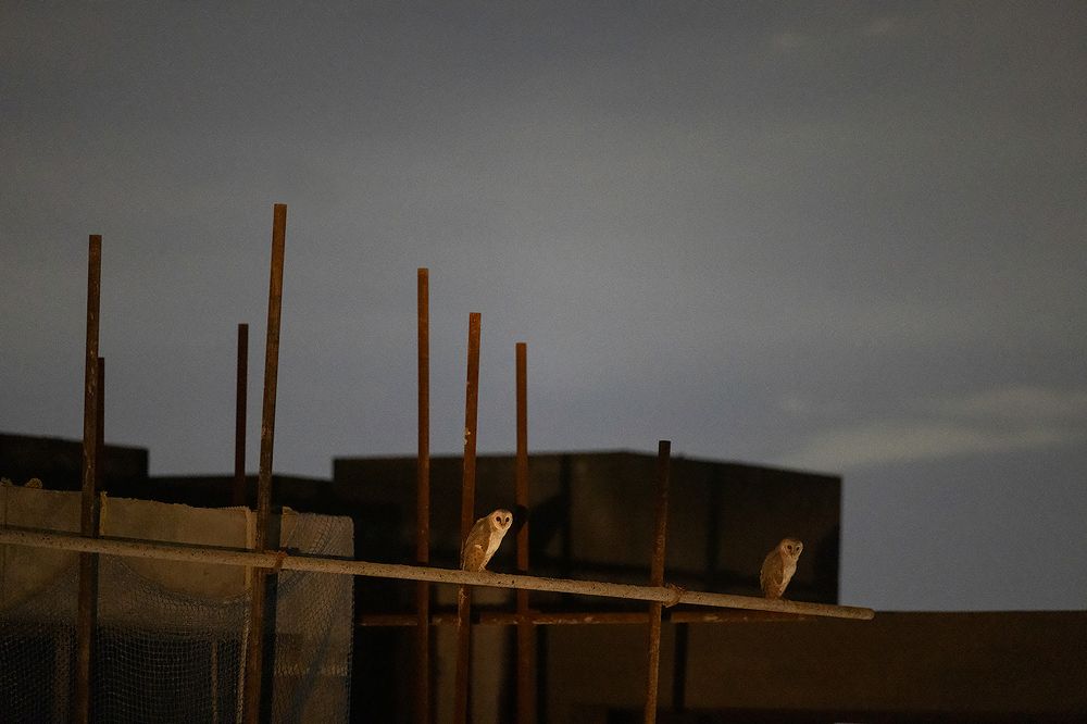 Photograph by Sumon Das