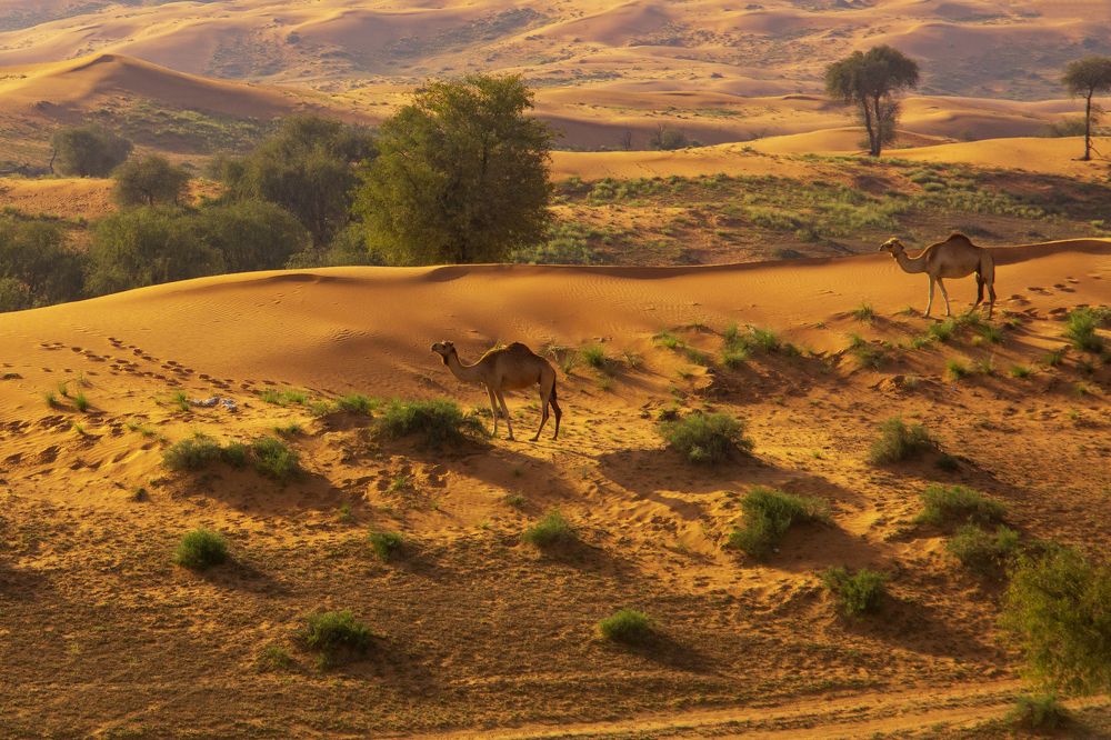 Photograph by Алена