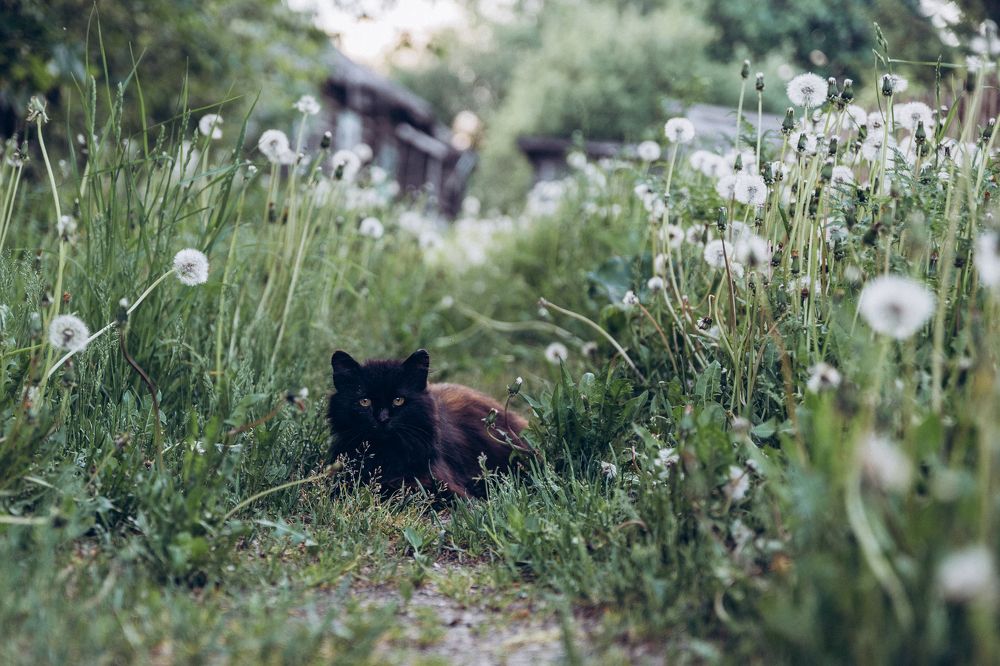 Photograph by Сергей Белокуров