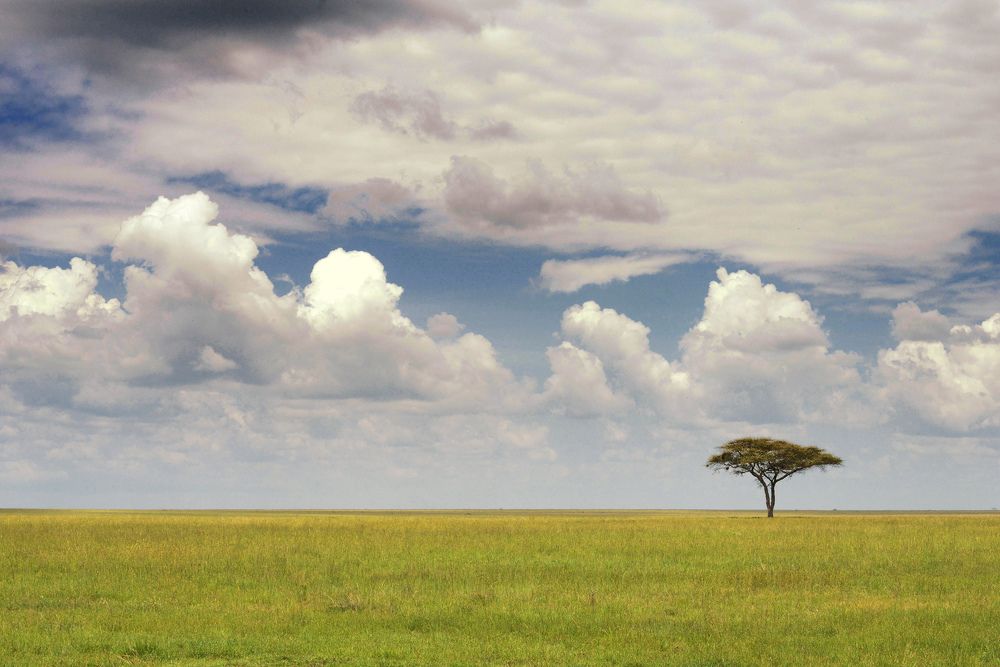 Photograph by Paolo Mola